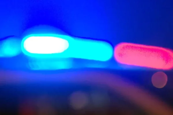 Florida Woman Dies After I-95 Crash Near Brevard County as Florida Highway Patrol Says an Alligator in the Roadway Set Off the Chain of Collisions