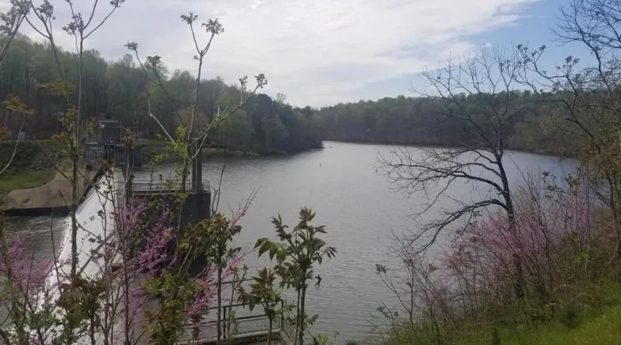 Search crews near the Rivanna Reservoir during an overnight missing person investigation