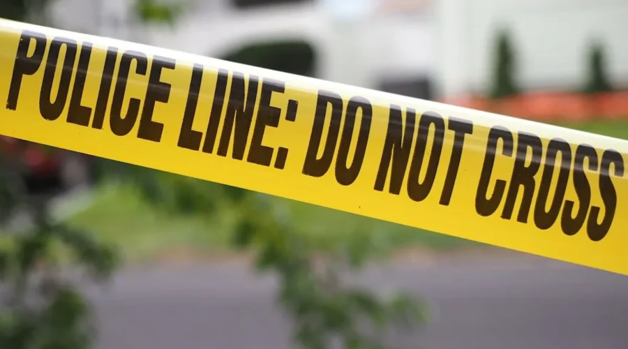 Wooded area in Cape May County where skeletal remains were found and later identified as a missing man